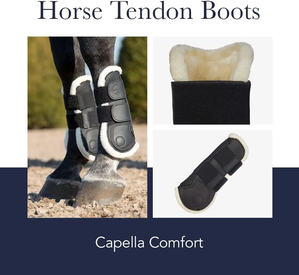 LeMieux Horse Tendon Boots - Protective Gear and Training Equipment - Equine Boots, Wraps & Accessories - Tendon Protection and Support